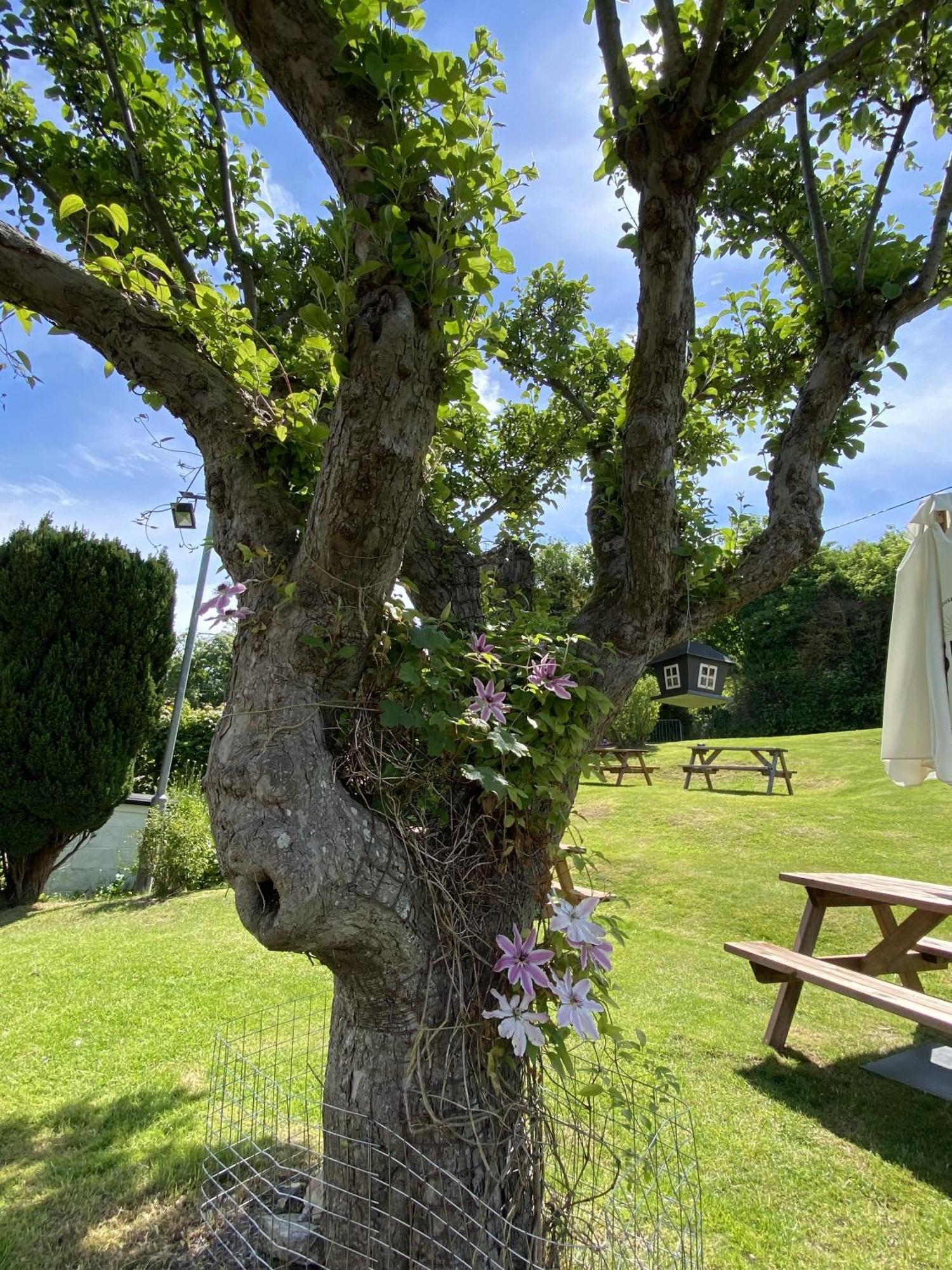 The Lydden Bell Bed & Breakfast Dış mekan fotoğraf