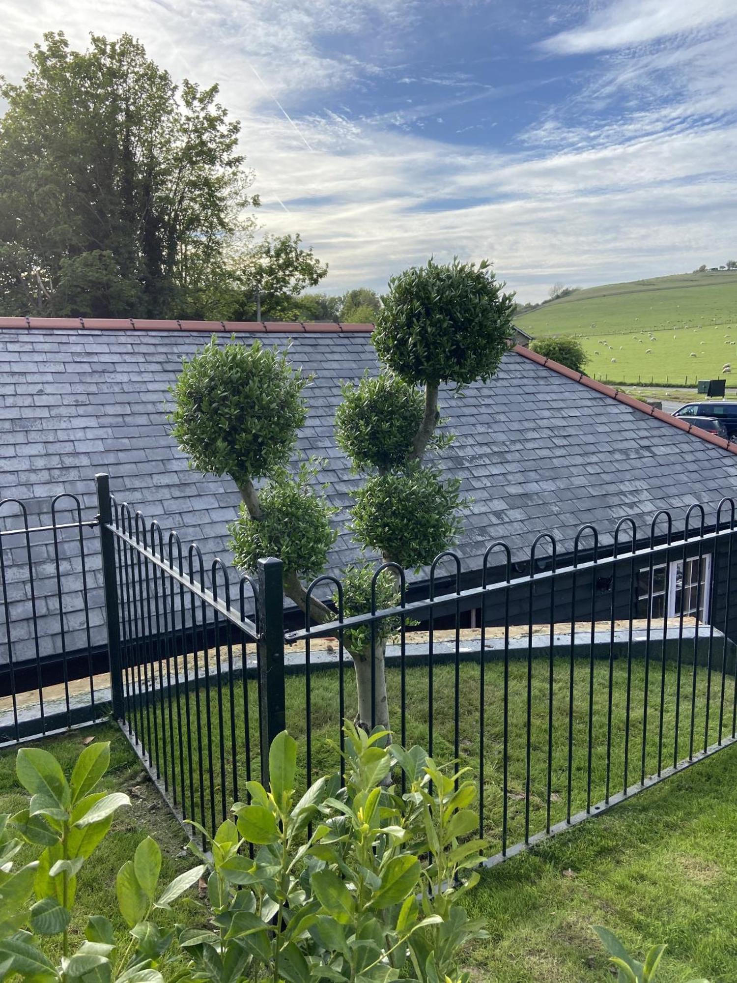 The Lydden Bell Bed & Breakfast Dış mekan fotoğraf